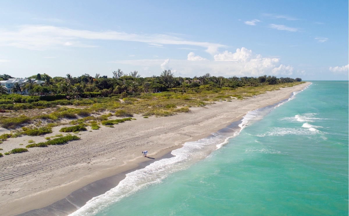 The Best Shelling Beaches In Florida – Sunshine State Insider