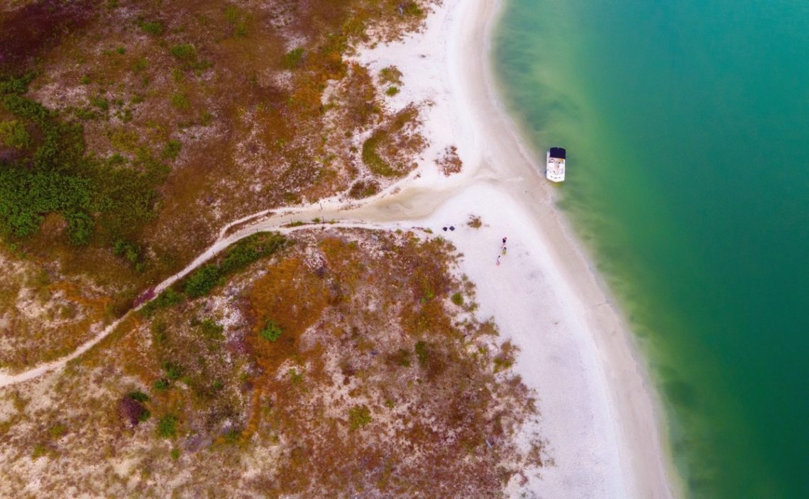 The best shelling beaches in Florida - Sunshine State Insider