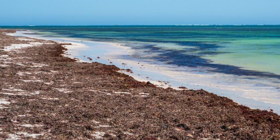 Kangaroo Point in Nambung Natioonal Park is situated just south of the town of Cervantes in Western Australia.
