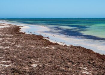 Kangaroo Point in Nambung Natioonal Park is situated just south of the town of Cervantes in Western Australia.
