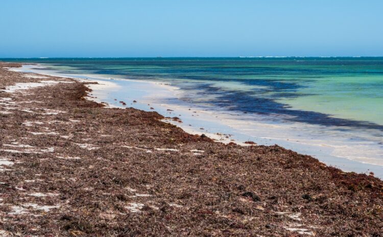 Kangaroo Point in Nambung Natioonal Park is situated just south of the town of Cervantes in Western Australia.